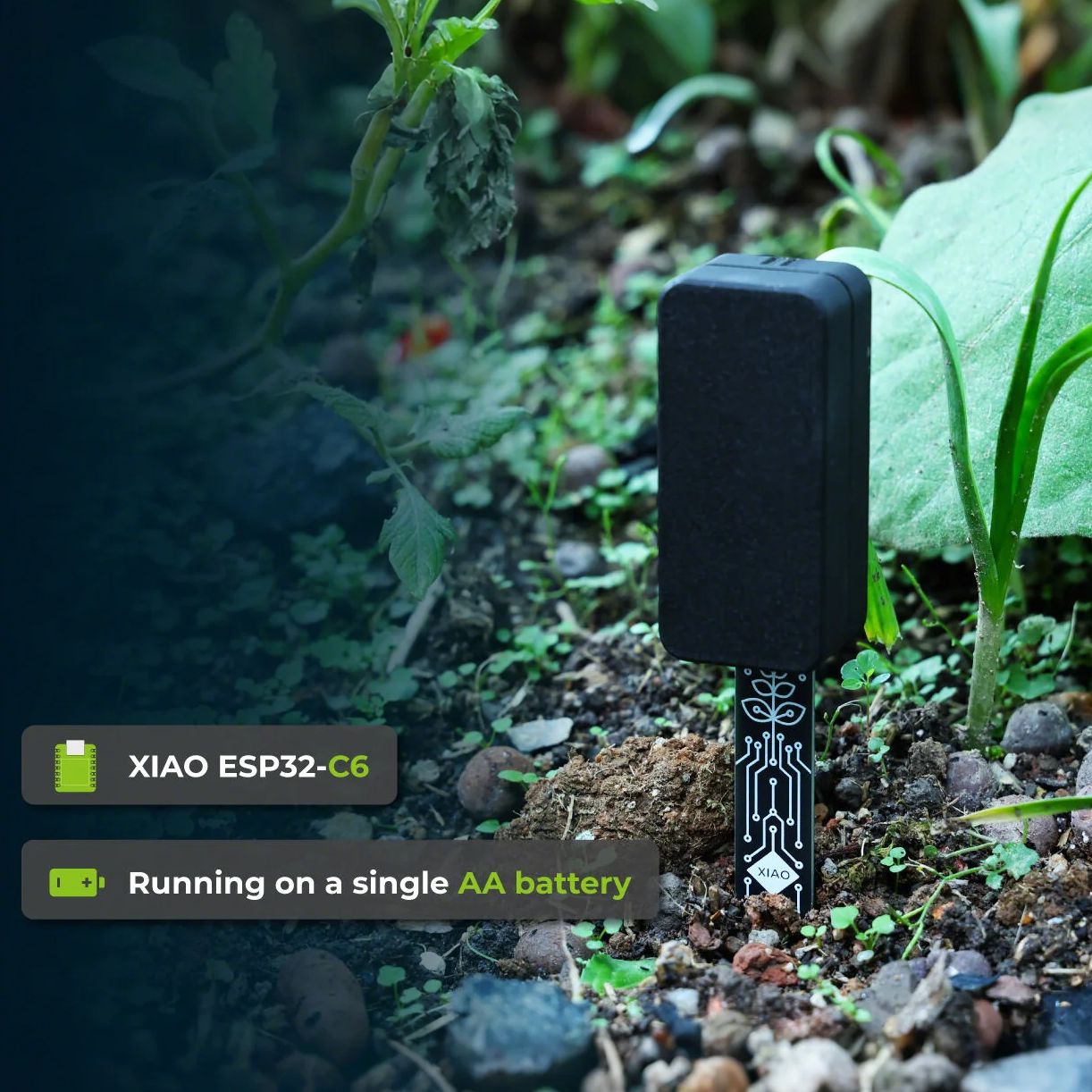 Home Automation Tutorial - XIAO ESP32 C6 Soil Moisture Sensor